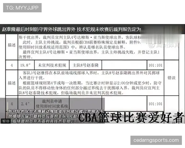 裁判报告判罚记录要素与提交流程规范 裁判报告判罚记录要素与提交流程规范